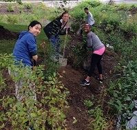 SmithStudentsPlantingBuckland092916-Pic2 (1)