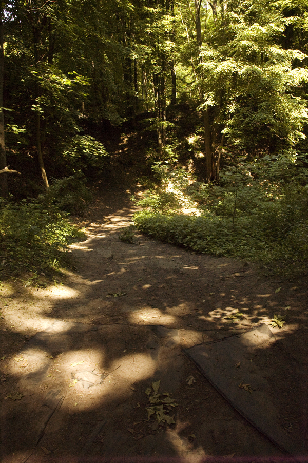 Corbett's Glen Nature Park Trail.