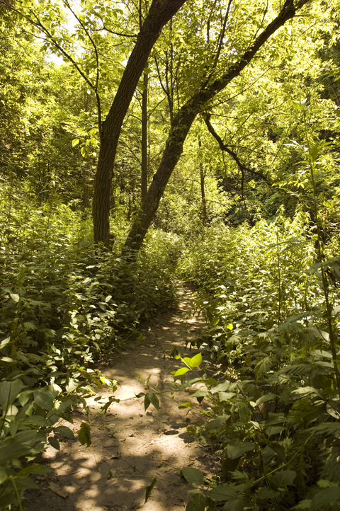 Corbett's Glen Nature Park Trail.