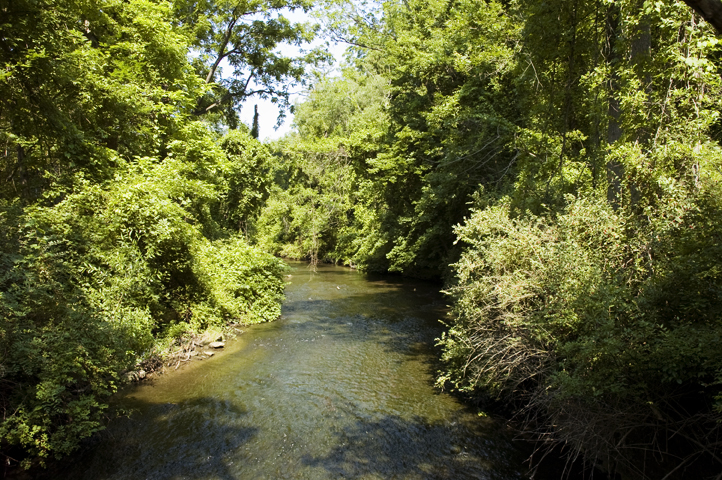 Allen's Creek at Corbett's Glen Nature Park.
