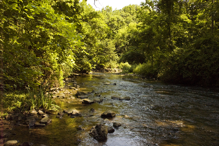 Allen's Creek at Corbett's Glen Nature Park.
