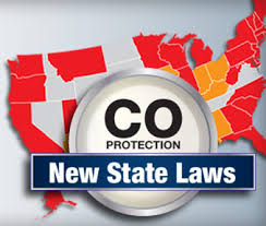 State CO Detector.jpg